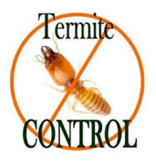 The Basic Principles Of Termite Control Recommendations 