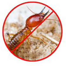 The Of Hindmarsh Termite & Pest Control Adelaide