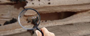 Not known Facts About Termite Control Application