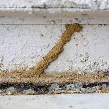 Termite Control Yourself Fundamentals Explained