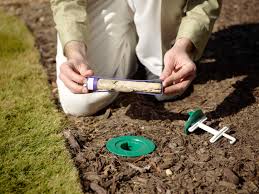 Excitement About Termite Control Start Local