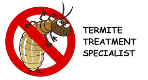 Termite Control No Tent - The Facts