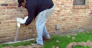 How Termite Insect Rodent Control Adelaide can Save You Time, Stress, and Money.